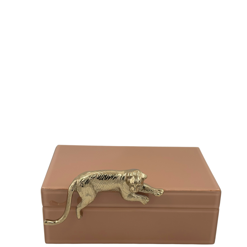 Somon Renkli Cam Dekoratif Kutu