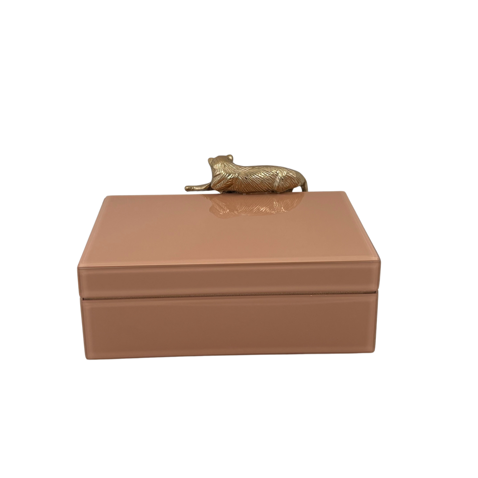 Somon Renkli Cam Dekoratif Kutu