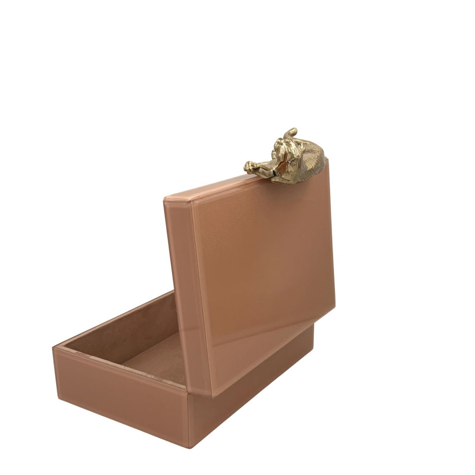 Somon Renkli Cam Dekoratif Kutu