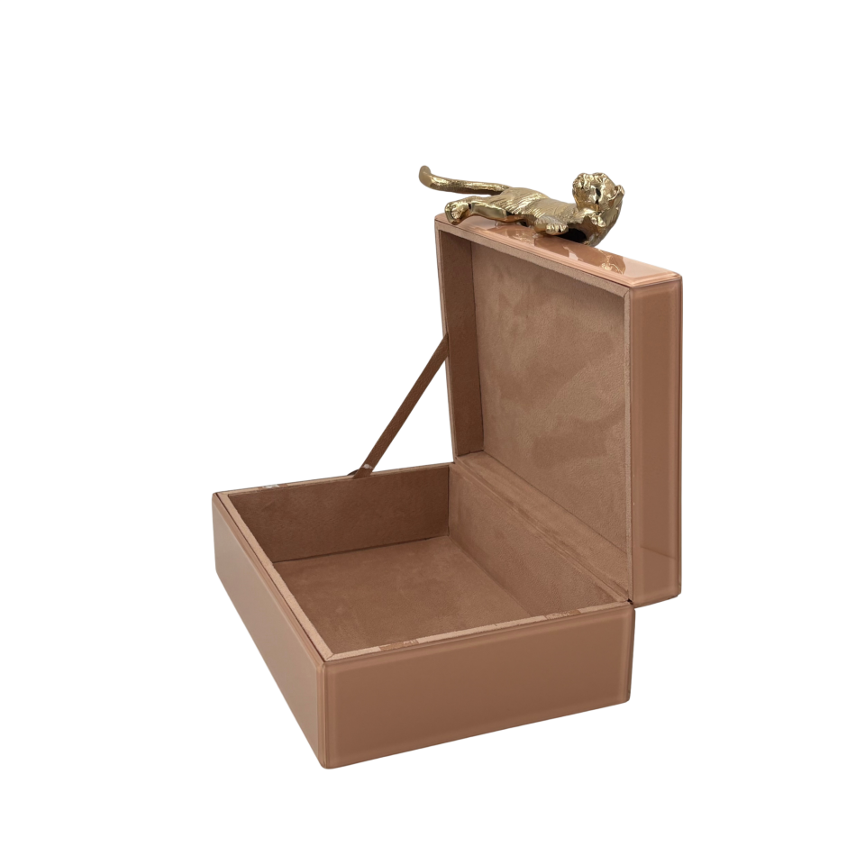 Somon Renkli Cam Dekoratif Kutu