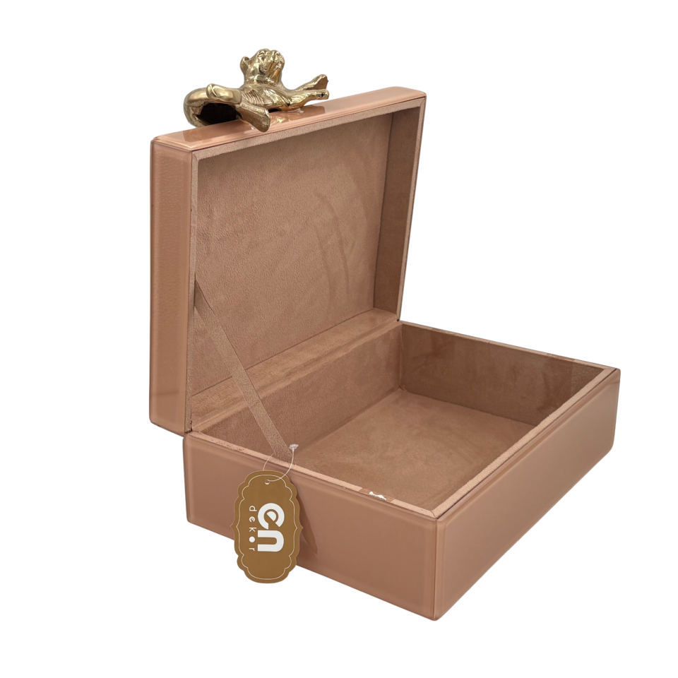 Somon Renkli Cam Dekoratif Kutu