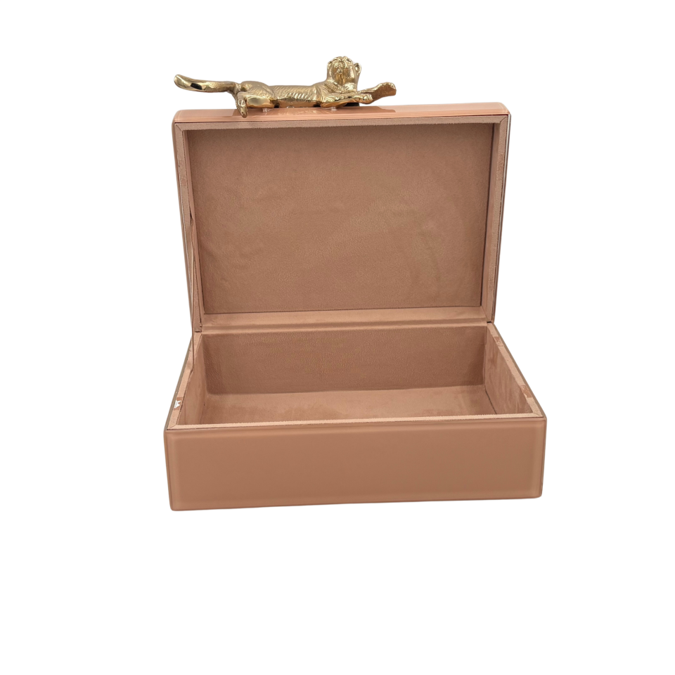 Somon Renkli Cam Dekoratif Kutu