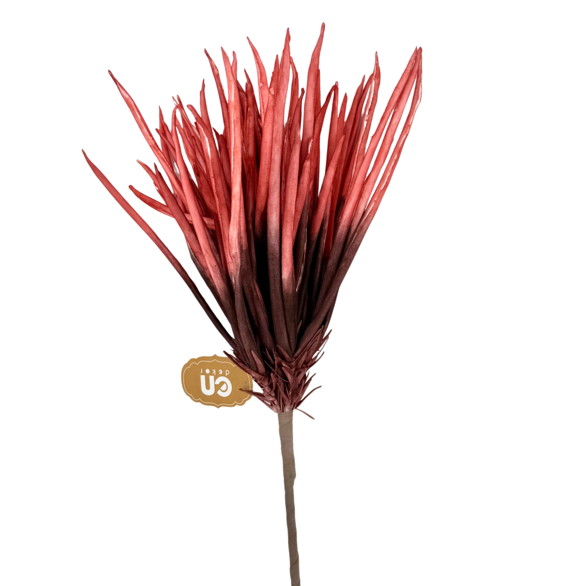 Soluk Kırmızı Çiçek