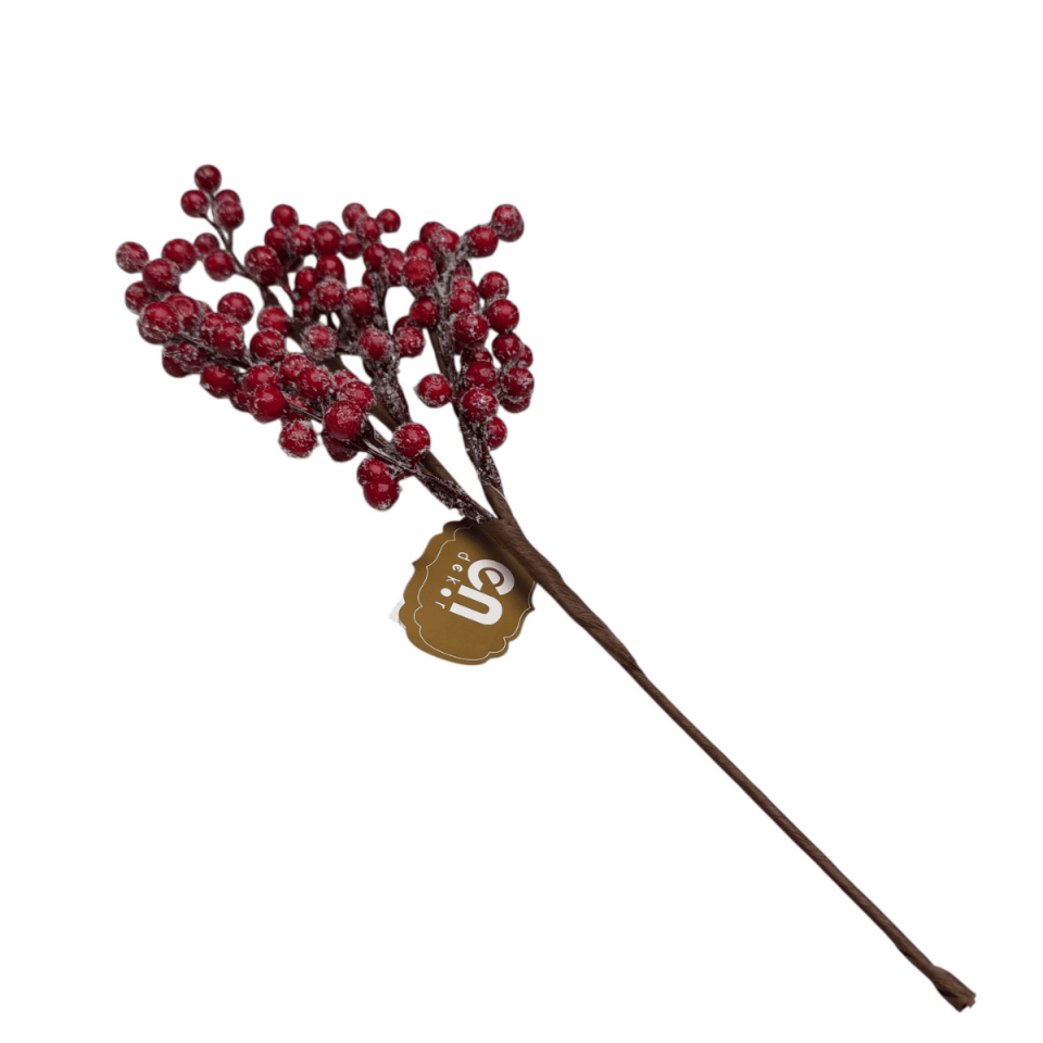 KARLI KIRMIZI KOKİNA