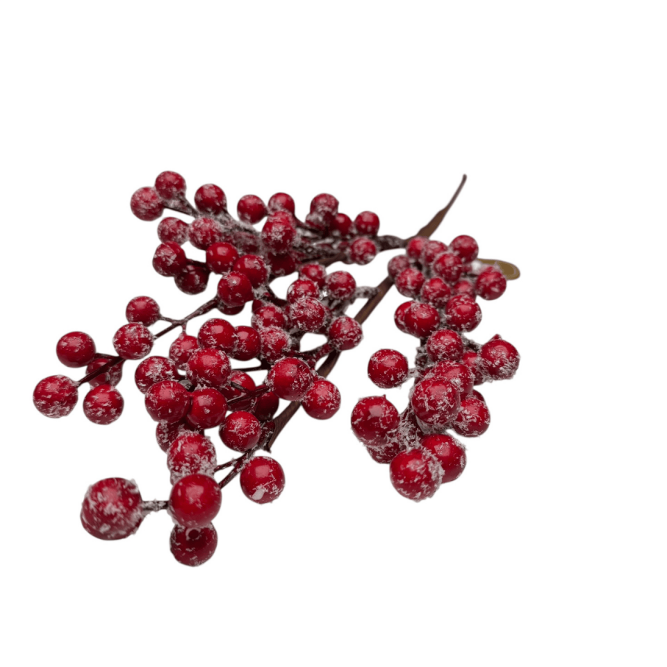 KARLI KIRMIZI KOKİNA