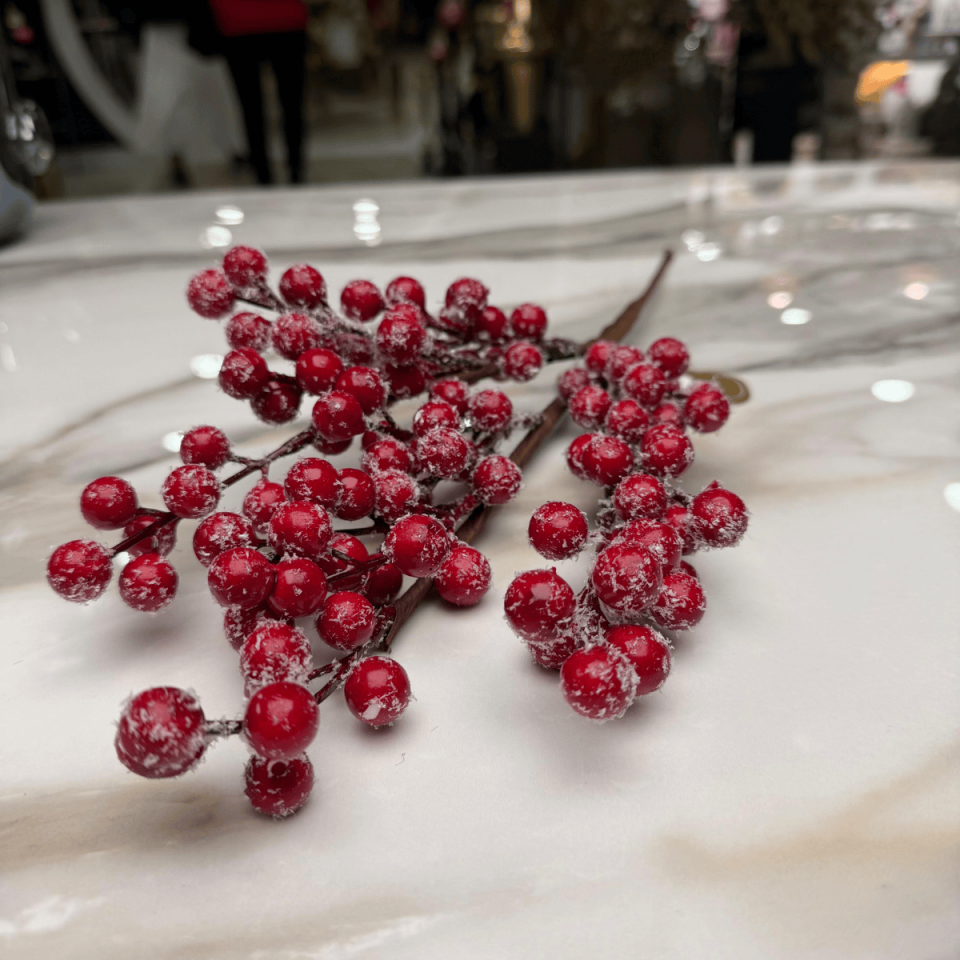 KARLI KIRMIZI KOKİNA