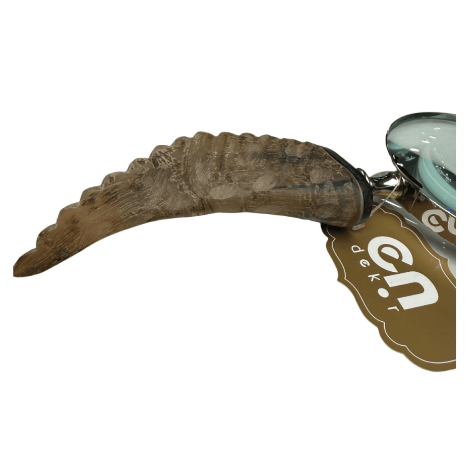 GÜMÜŞ BOYNUZ BÜYÜTEÇ