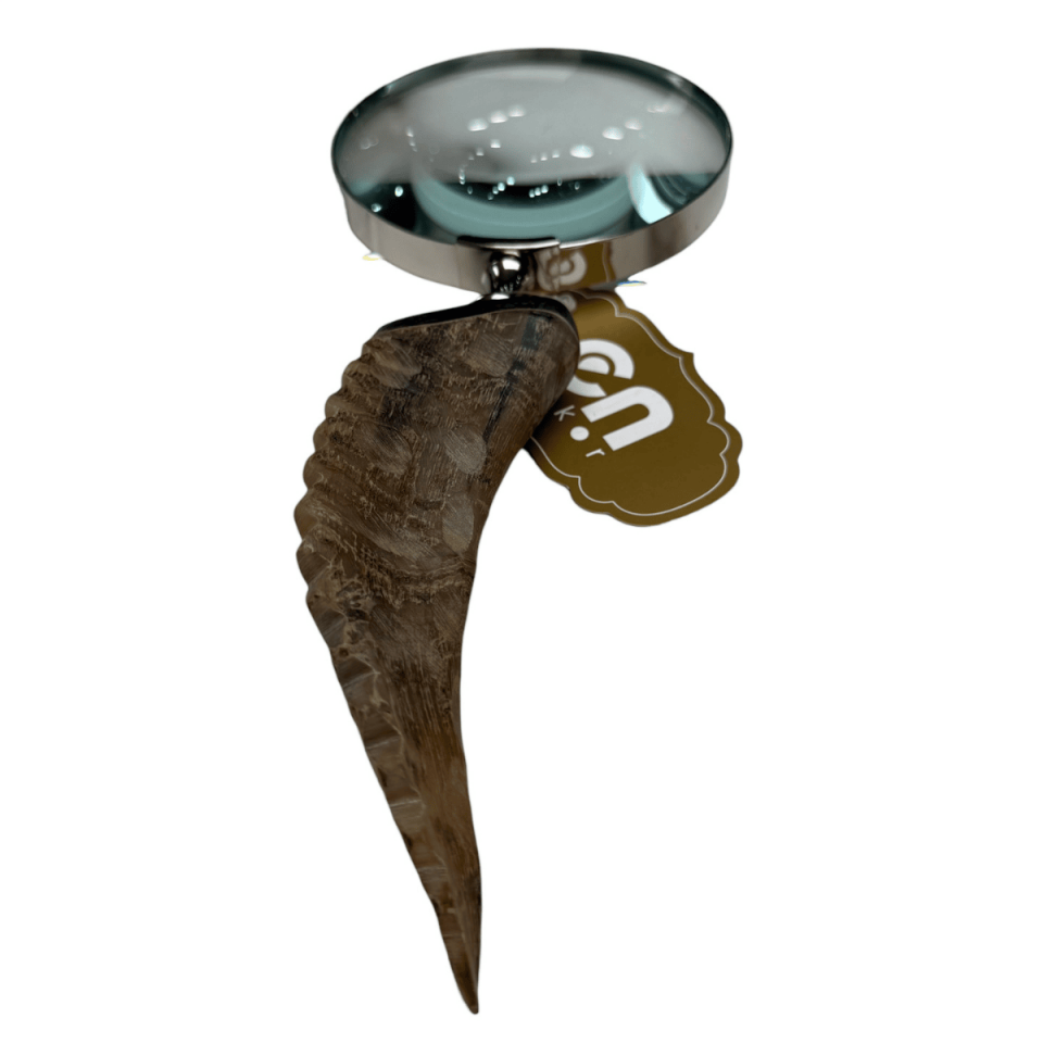 GÜMÜŞ BOYNUZ BÜYÜTEÇ