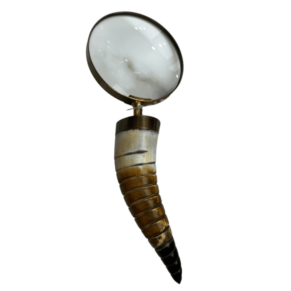 PRİNÇ BÜYÜTEÇ ÇİZGİ DESEN