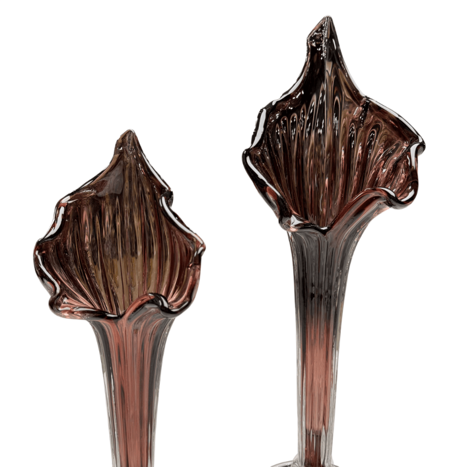 2Lİ CAM ZAMBAK OBJE