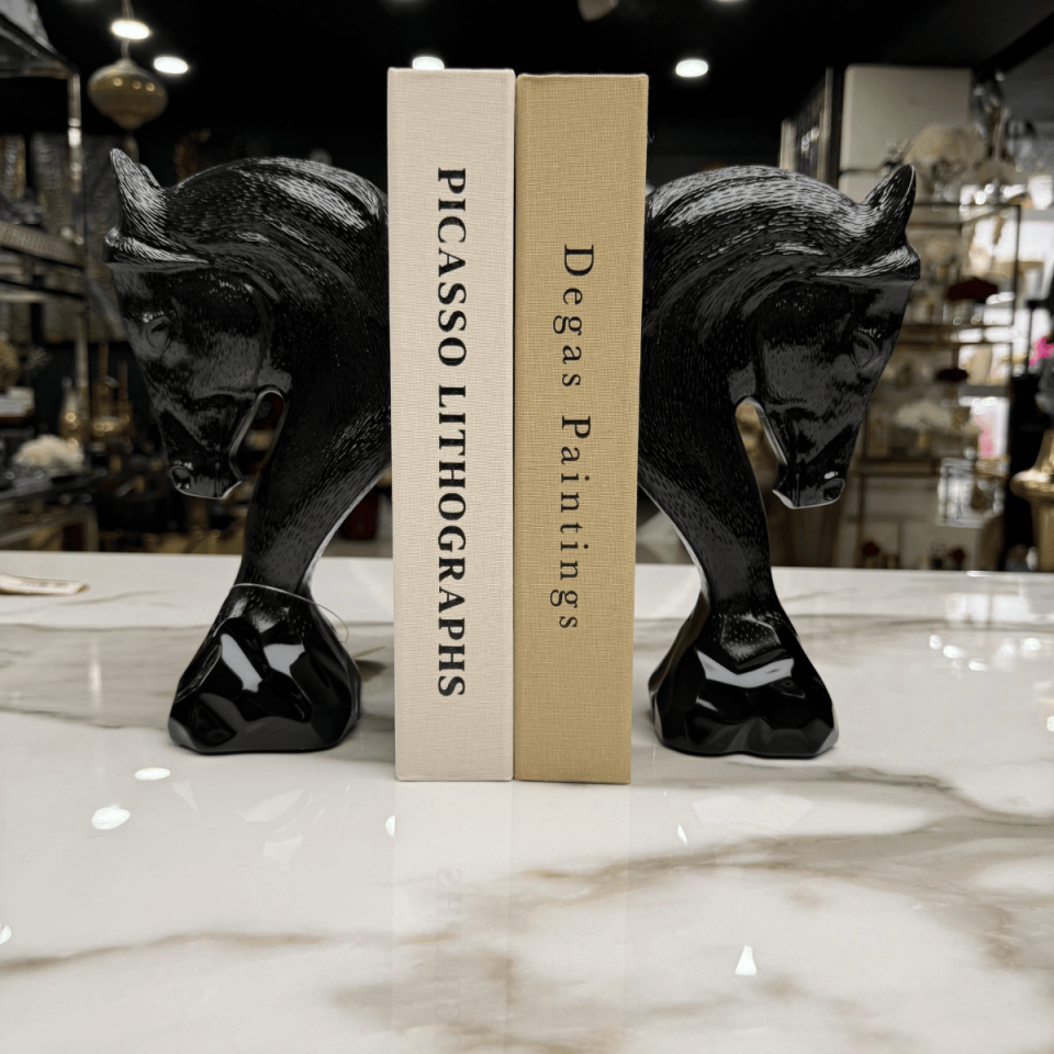 AKRİLİK 2Lİ AT KİTAP TUTUCU