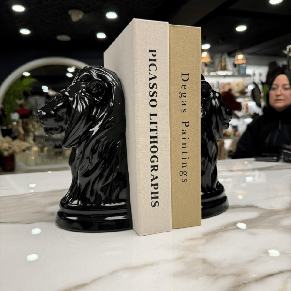 AKRİLİK ASLAN FİGÜRLÜ 2'Lİ KİTAP TUTACAĞI