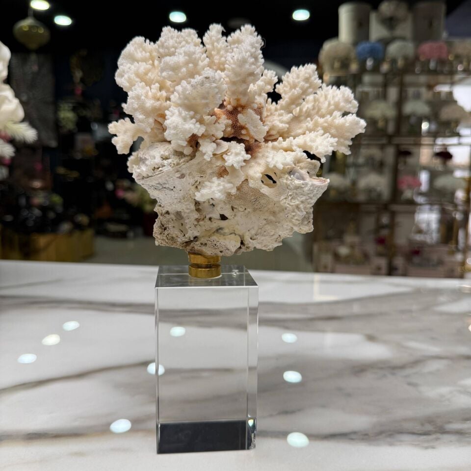 KRİSTAL TAŞLI MERCAN OBJE